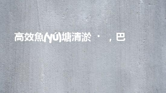 高效魚(yú)塘清淤，巴洛仕設(shè)備助力生態(tài)養(yǎng)殖